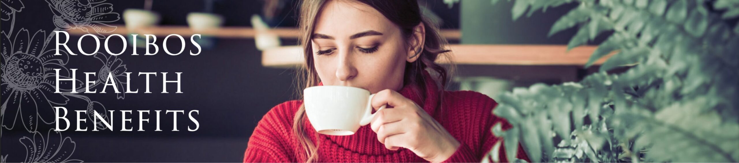 roibos-health-benefits